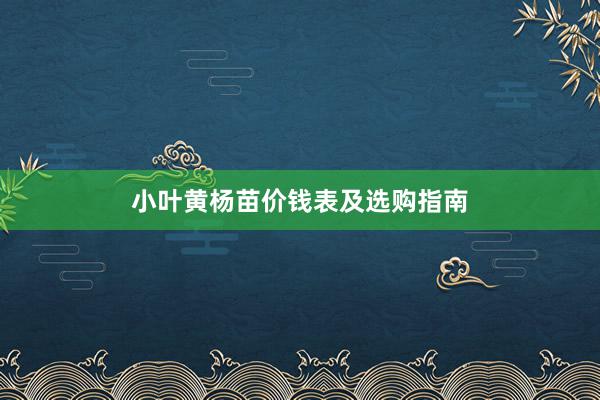 小叶黄杨苗价钱表及选购指南