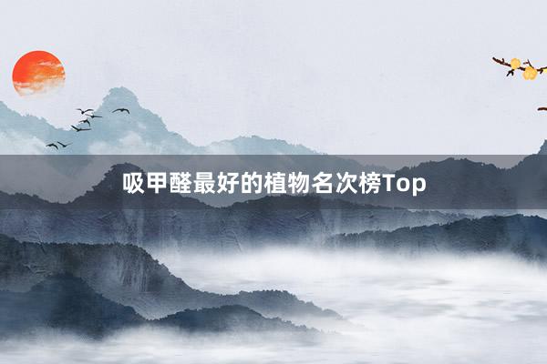 吸甲醛最好的植物名次榜Top
